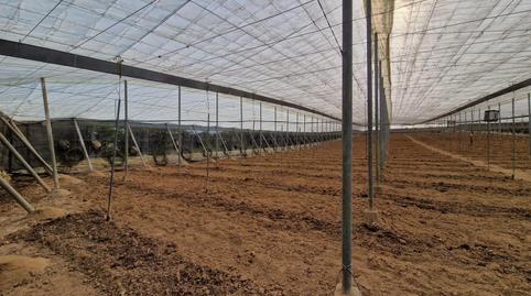 Photo 2 of Country house for sale in Molvízar, Granada