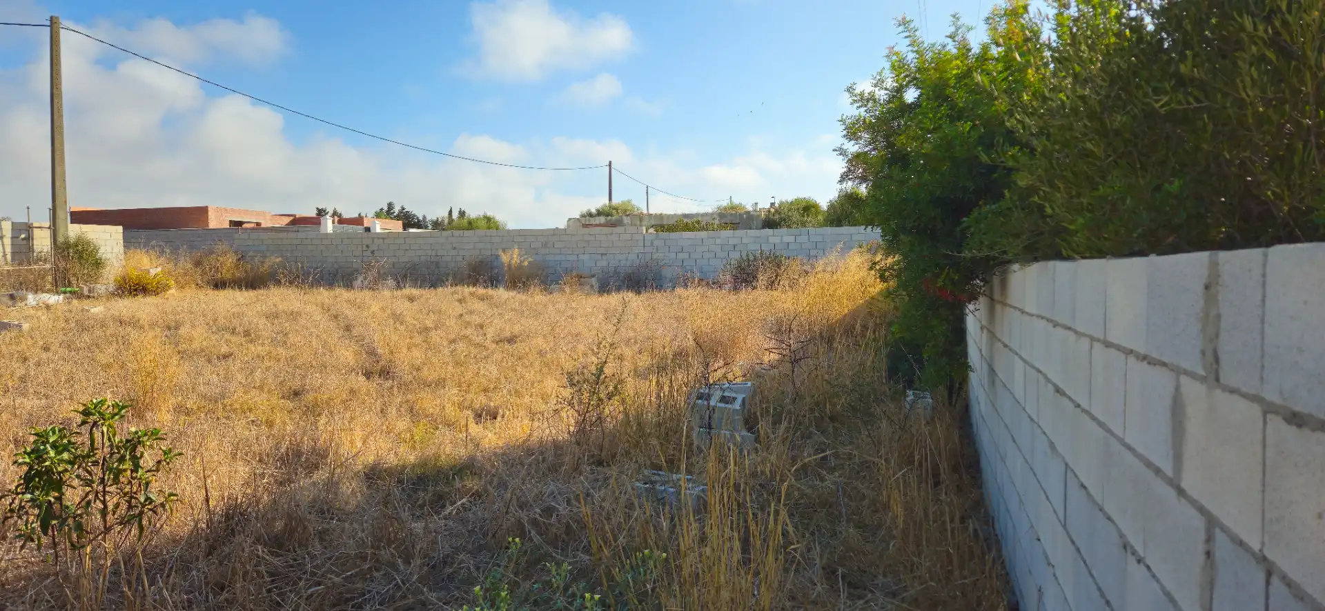 Terreno rustico in vendita a La Soledad, imagen 6