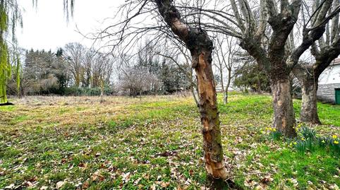 Foto 3 de Casa o chalet en venta en Pellejonas, 27, Santa Marta de Tormes, Salamanca