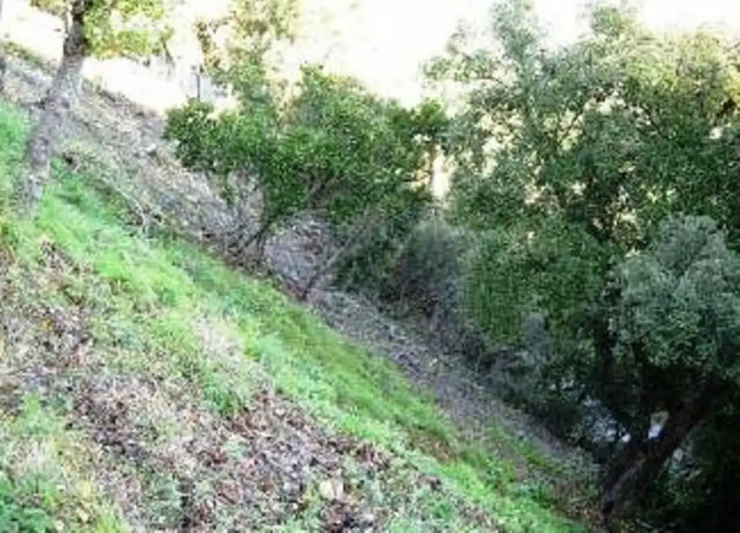 Terreno residencial en venta en Carrer de les Orenetes, imagen 2