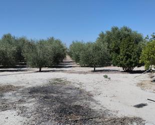 Land for sale in Centro, Casco Urbano, Molina de Segura