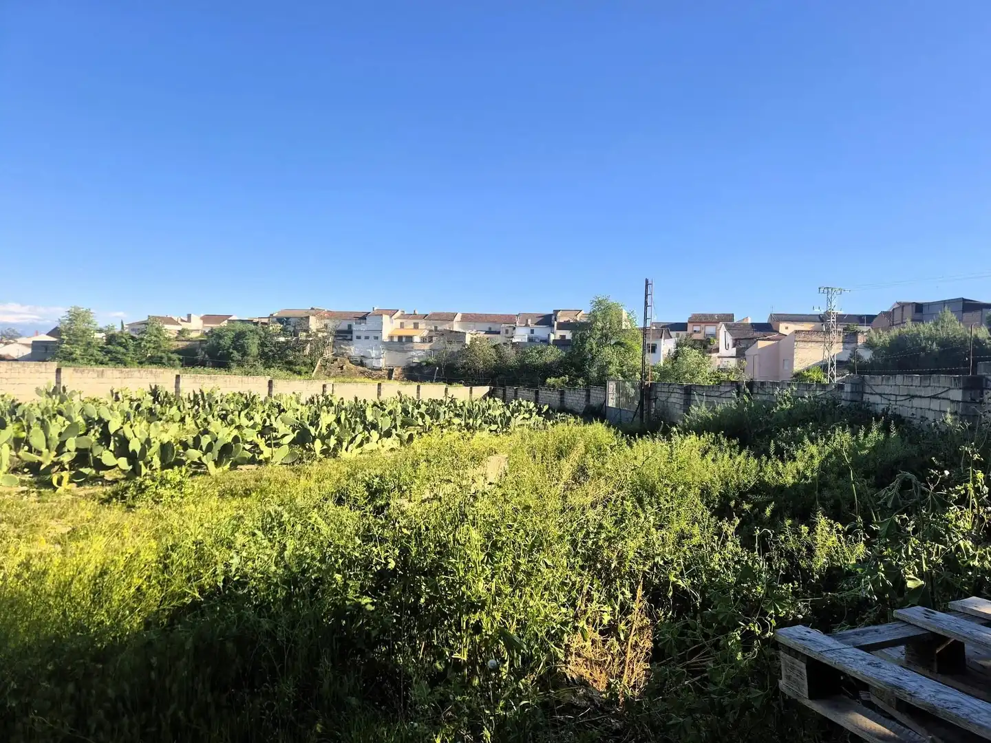 Wohnbaugrundstück zum Verkauf in Íllora, imagen 7