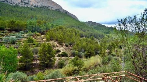 Foto 3 de Finca rústica en venta en Partida Casas D'arch, Sella, Alicante