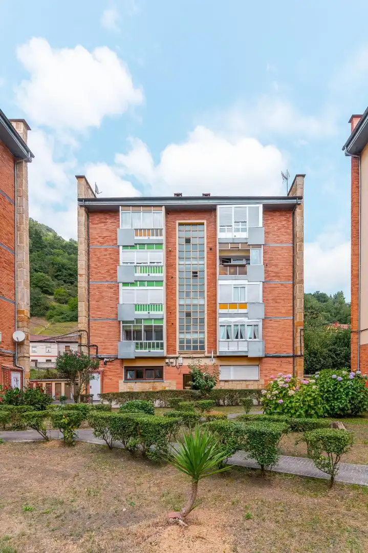 Vista exterior de Piso en venta en Aller
