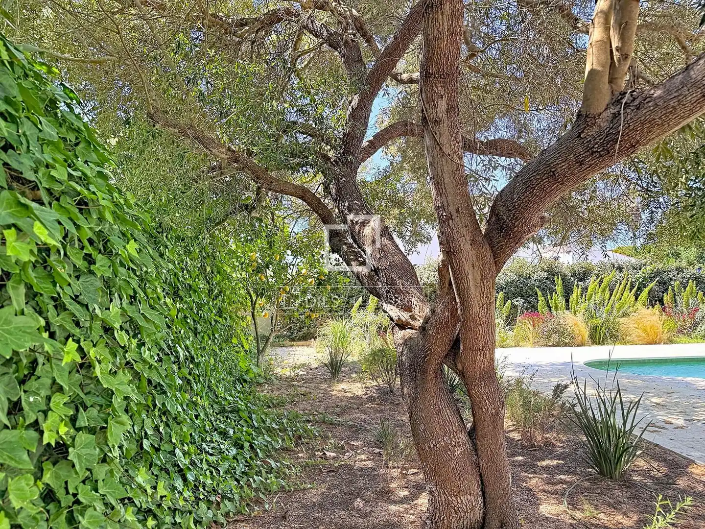 Villa avec piscine à vendre à Trebalúger, imagen 47