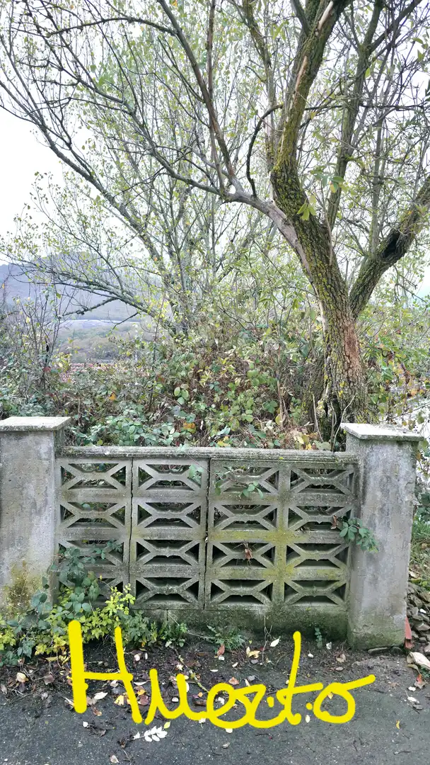 Jardín de Casa o chalet en venta en Barruelo de Santullán