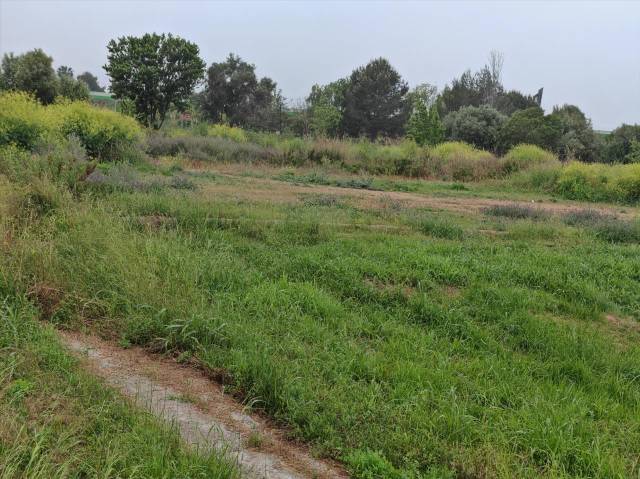 Terreno residencial en Venta en Proc. Simplificado en El Dossel - Mareny de San Lorenzo