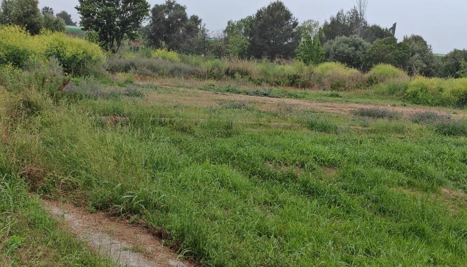 Foto 1 de Residencial en venda a Proc. Simplificado, El Dossel - Mareny de San Lorenzo, Valencia