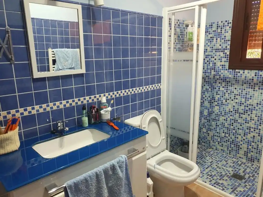 Bany de Casa o xalet en venda en Agudo, Ciudad Real