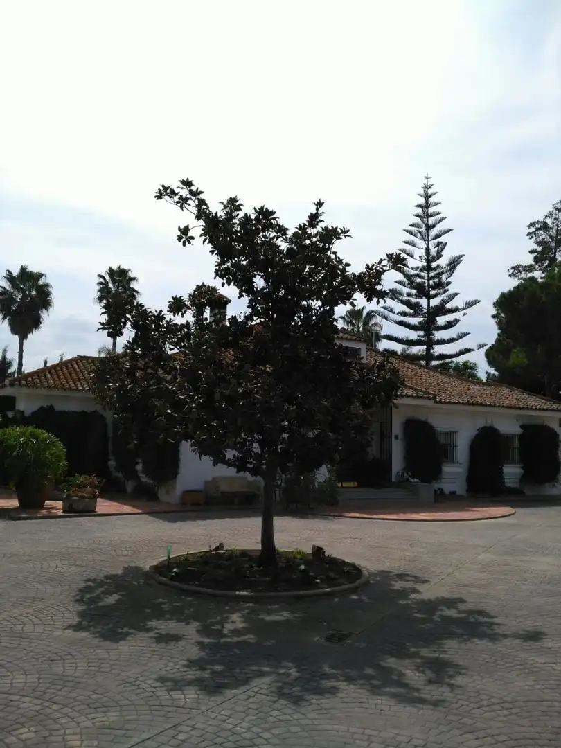 Villa mit Pool zum Verkauf in El Retiro - Parque Atlántico - Ronda este, imagen 15