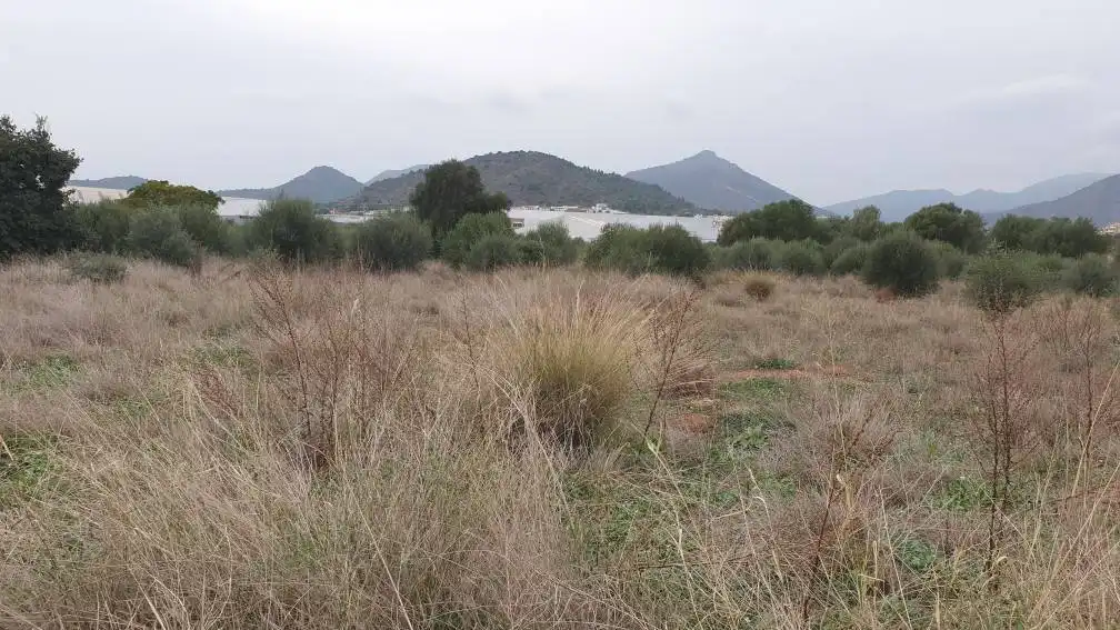 Terreny residencial en venda a Partida Fosaret, imagen 20