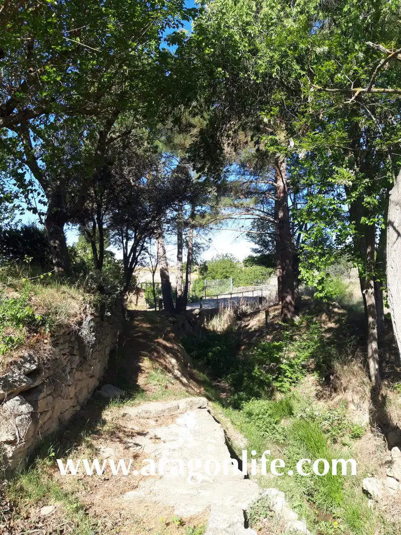 Jardín de Finca rústica en venta en Calaceite