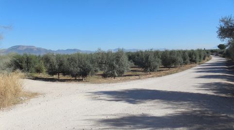 Foto 4 de Terreno en venta en Moraleda de Zafayona, Granada