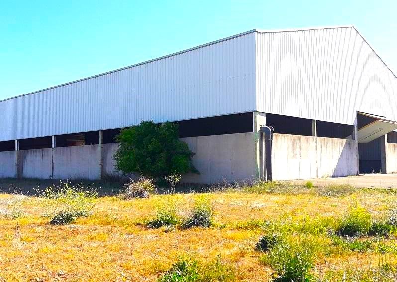 Nau industrial en venda a GALAPAGOS, Torrejón del Rey