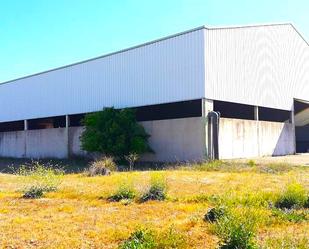 Exterior view of Industrial buildings for sale in Torrejón del Rey