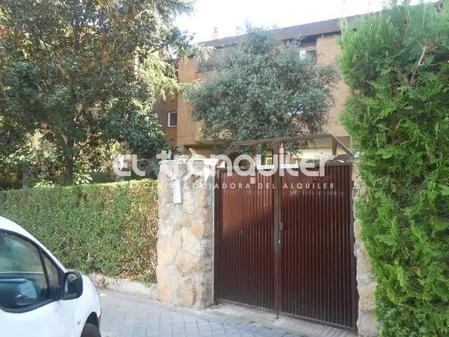 Wohnung mit Pool zur Miete in Avenida Paralela, imagen 15