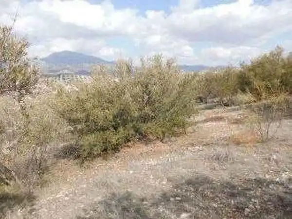 Terreni e lotti in vendita a Alcaudete, imagen 5