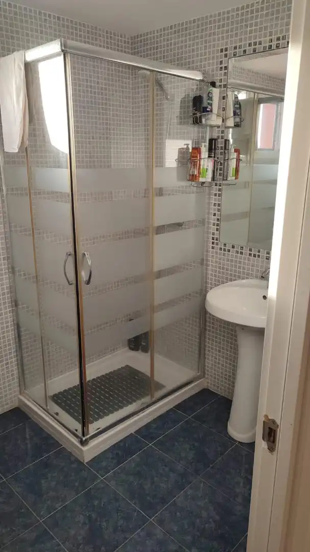 Bathroom of Apartments for sale in Benidorm  with Air Conditioner, Terrace and Furnished