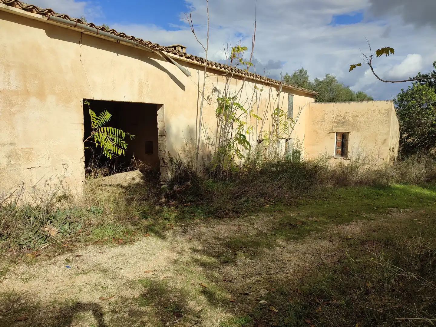 Casa in vendita a Petra, imagen 16