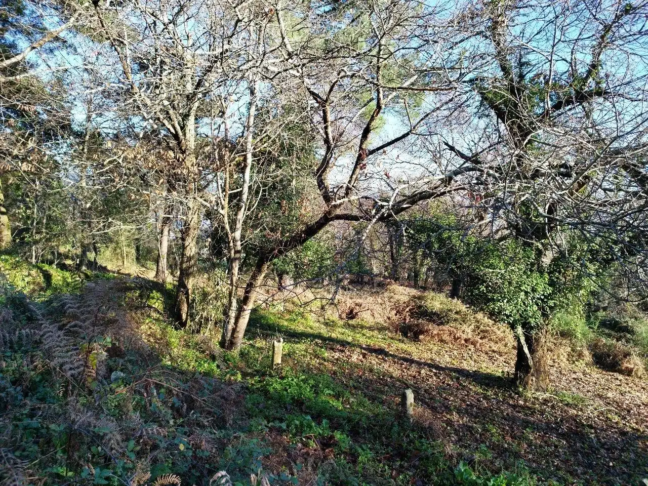 Terreno residenziale in vendita a Marín, imagen 7