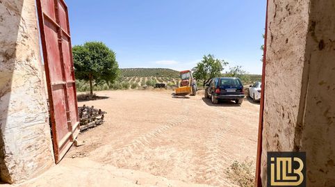 Photo 3 of Flat for sale in Cabra de Santo Cristo, 1, Cabra del Santo Cristo, Jaén