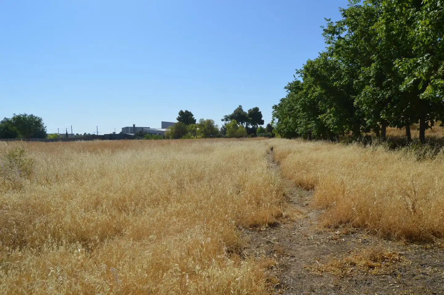 Finca rústica en venda en Tarancón amb Jardí privat