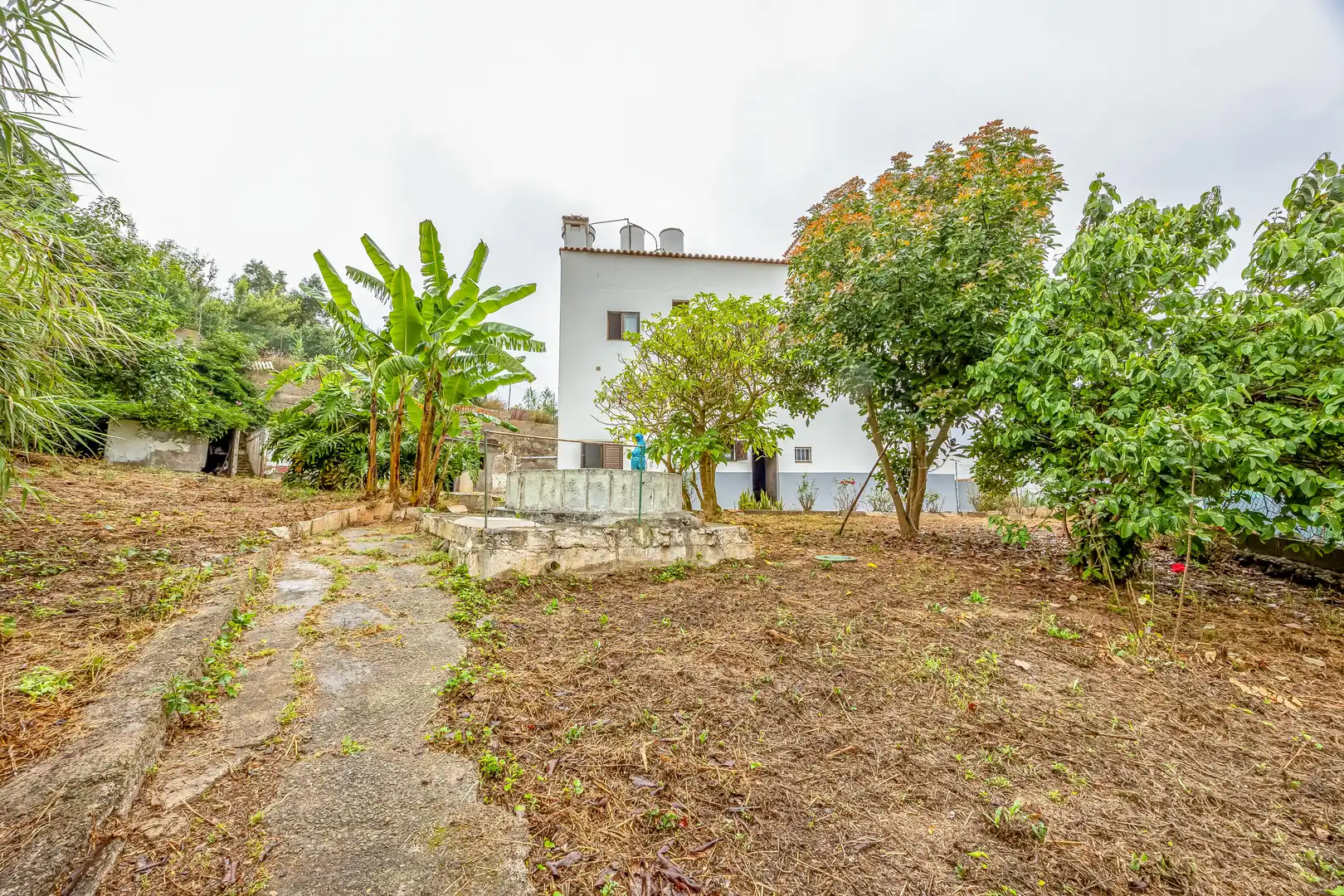 Casa o chalet en venta en Calle Sinesio Yánez Travieso, 41, El Palmar