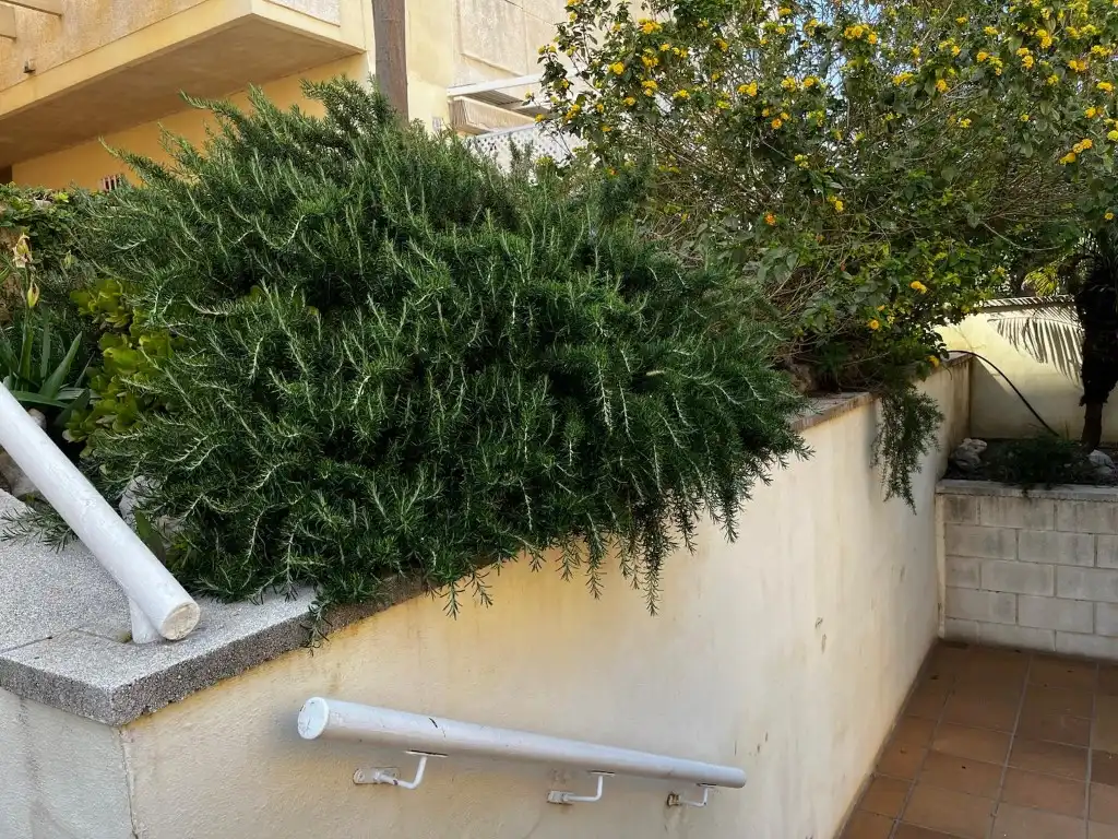 Terraza de Piso en venta en Gandia