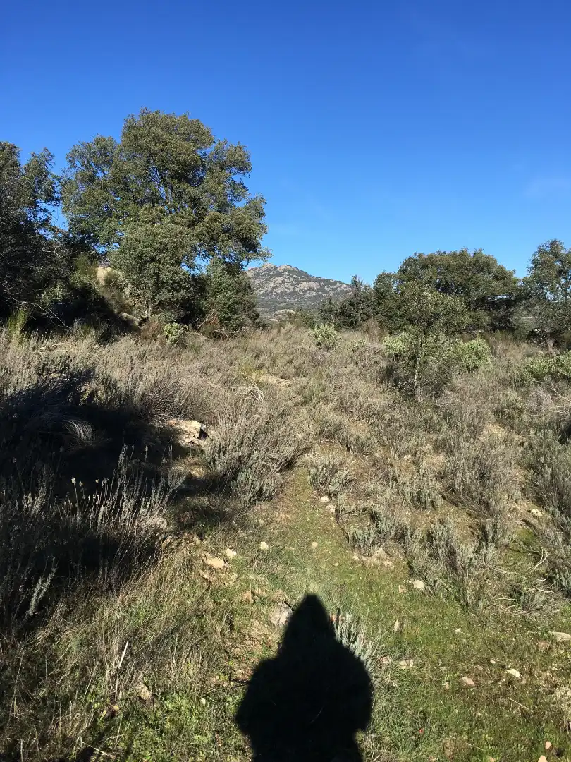 Rural land for sale in Cadalso de los Vidrios, imagen 20
