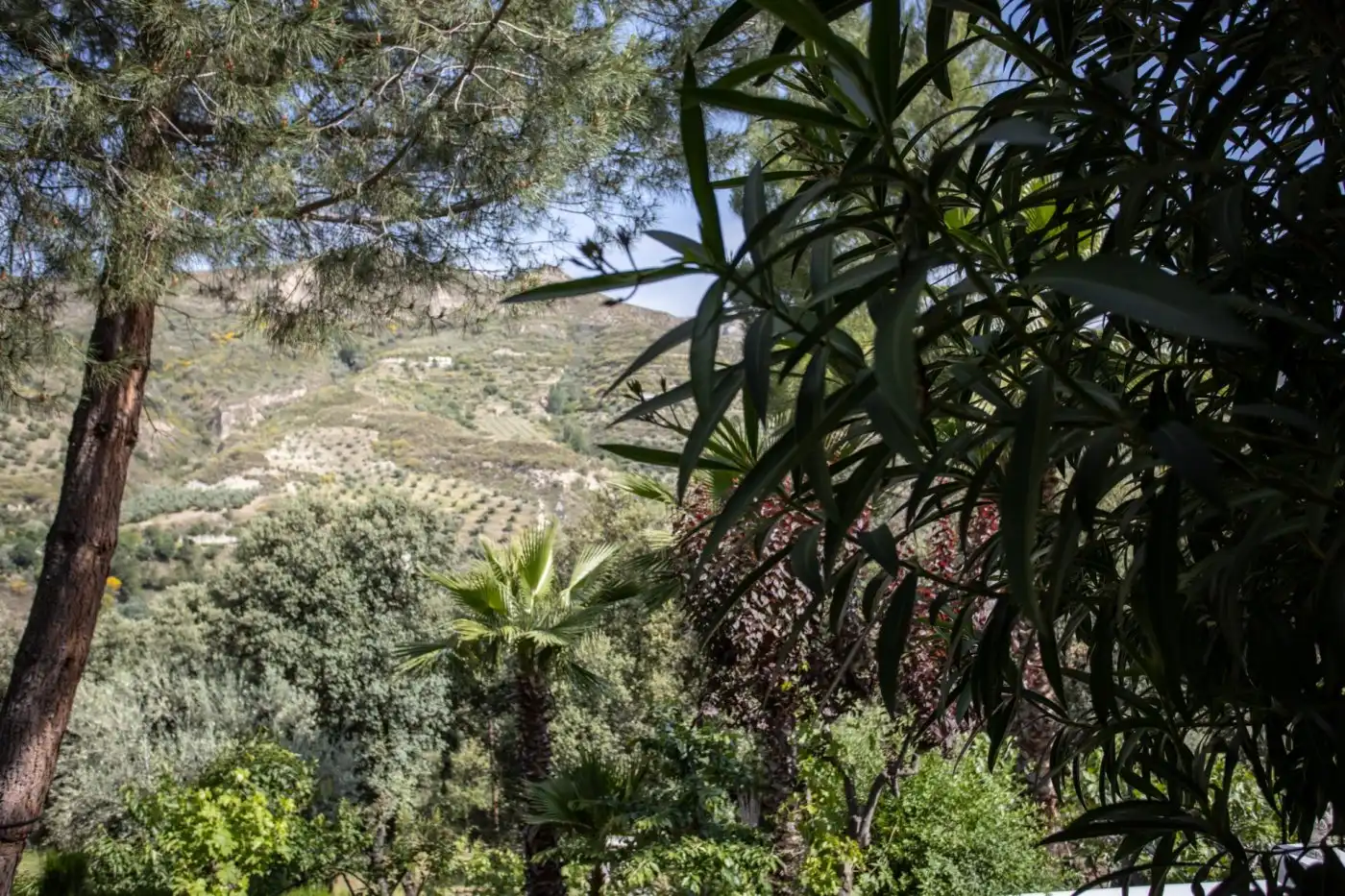Jardín de Casa o chalet en venta en Dúdar con Aire acondicionado, Calefacción y Jardín privado