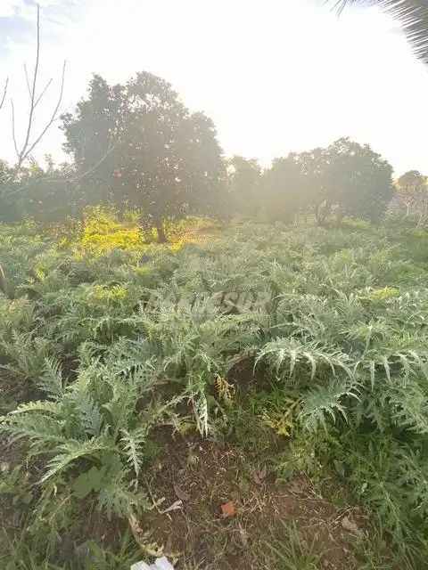 Wohnbaugrundstück zum Verkauf in Periurbano Oeste - Sierra, imagen 17