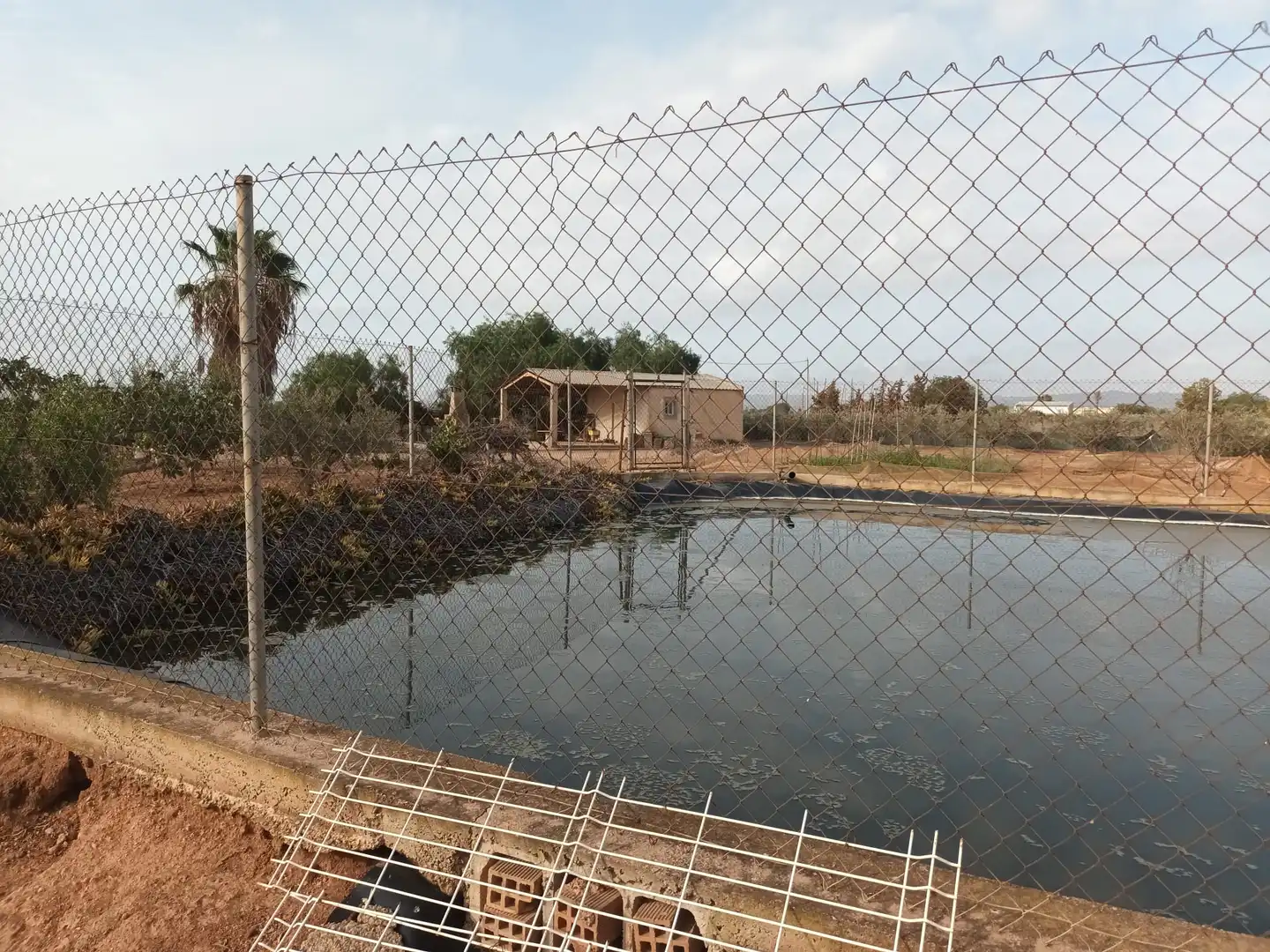 Swimming pool of Houses for sale in Cartagena  with Terrace, Swimming Pool and Furnished