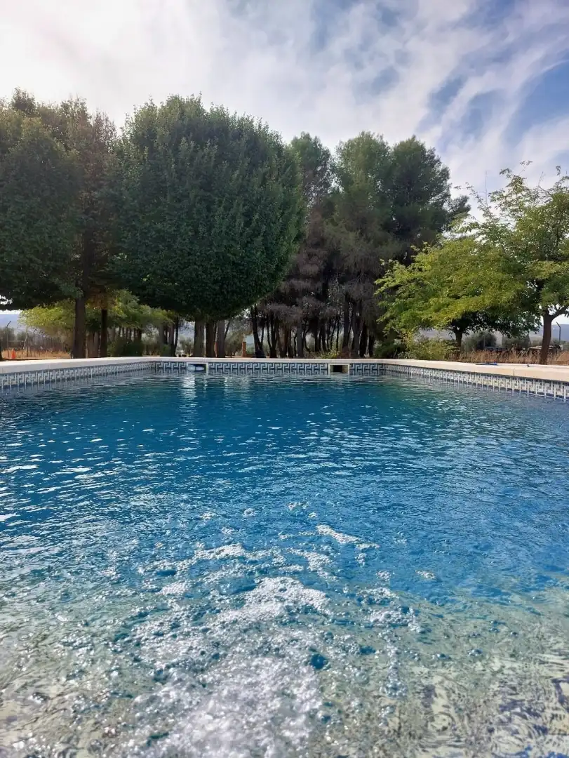Swimming pool of Country homes for rent in Argamasilla de Calatrava, Ciudad Real