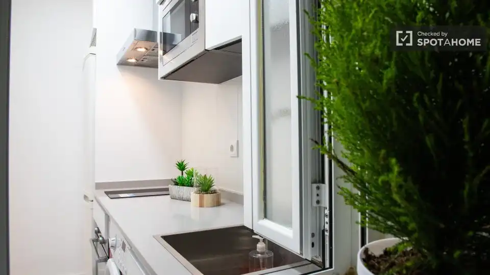 Appartamento con terrazza in affitto a Barrio de Salamanca, imagen 17