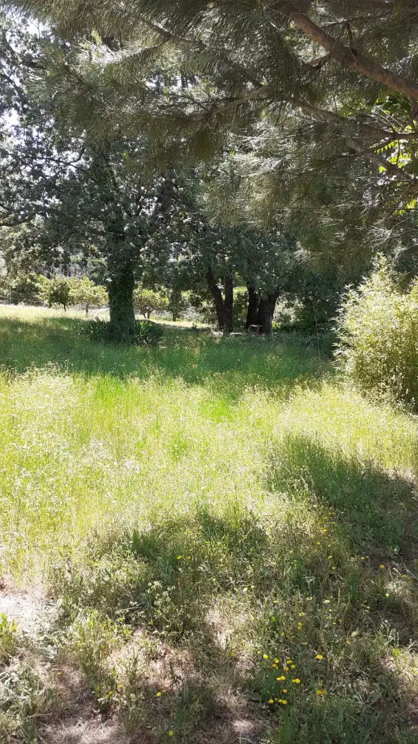 Land for sale in Jarandilla de la Vera