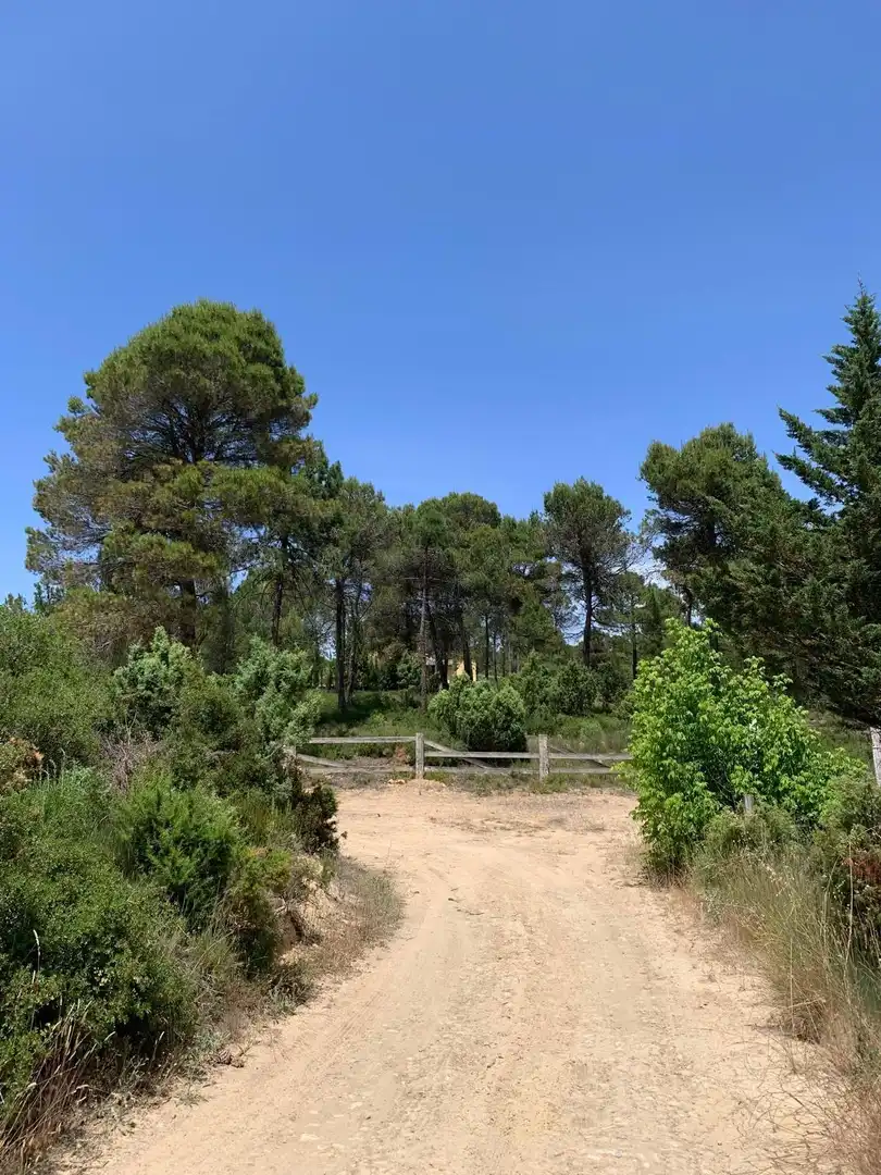 Country homes for sale in Cortes de Pallás  with Heating and Swimming Pool
