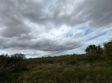 Rural land for sale in Albelda de Iregua