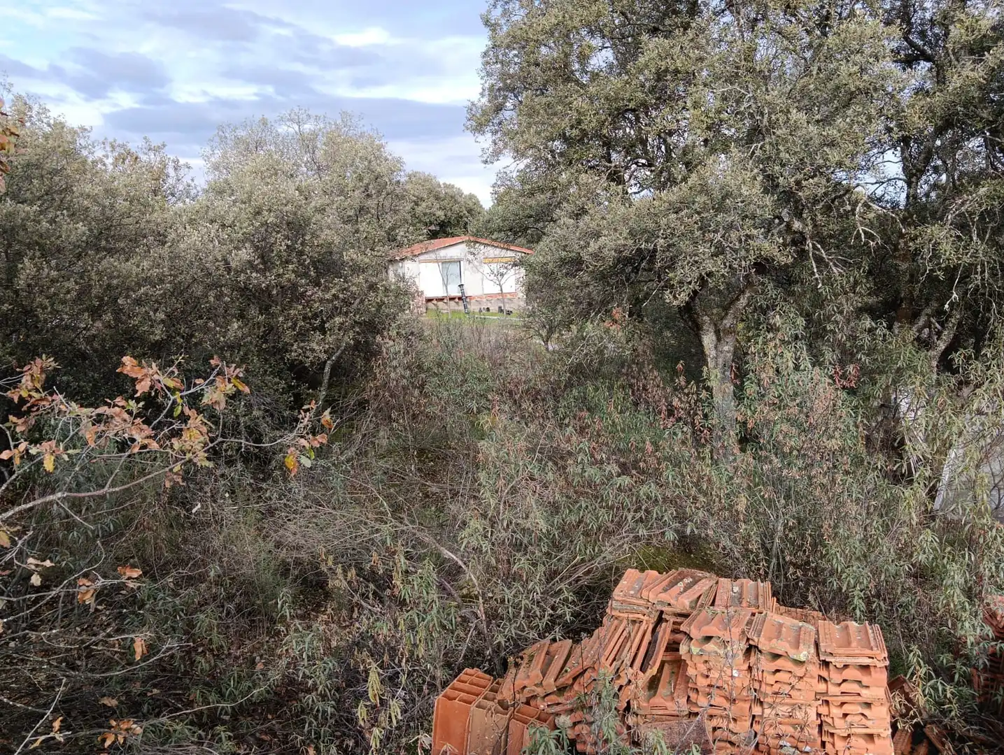Casa o xalet en venda en Valdemorillo