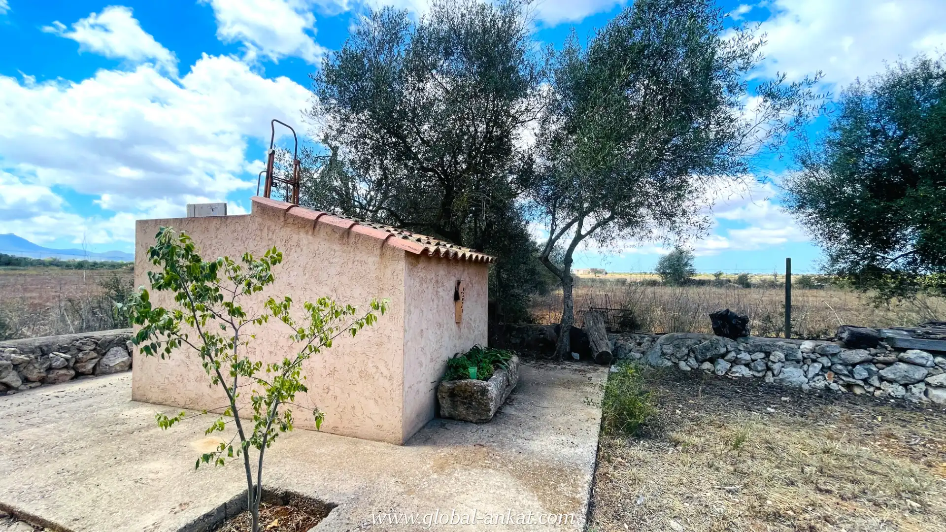 Jardí de Finca rústica en venda en Felanitx amb Jardí privat, Terrassa i Traster
