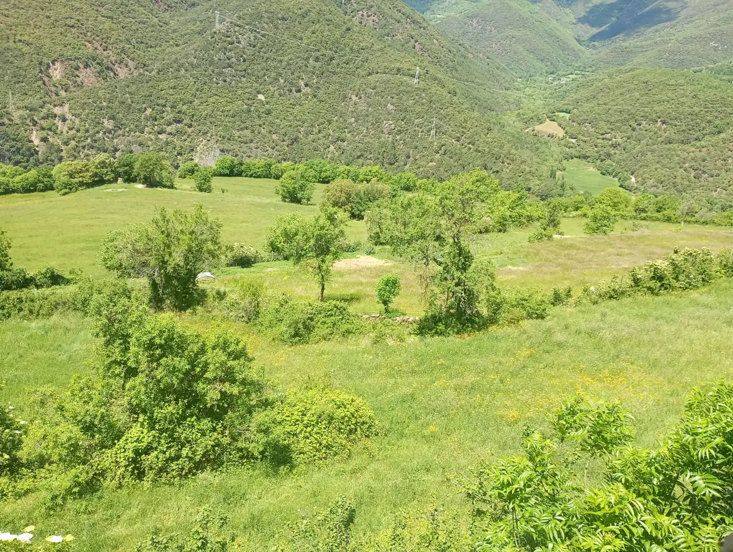 Casa o xalet en venda en Soriguera amb Terrassa i Traster
