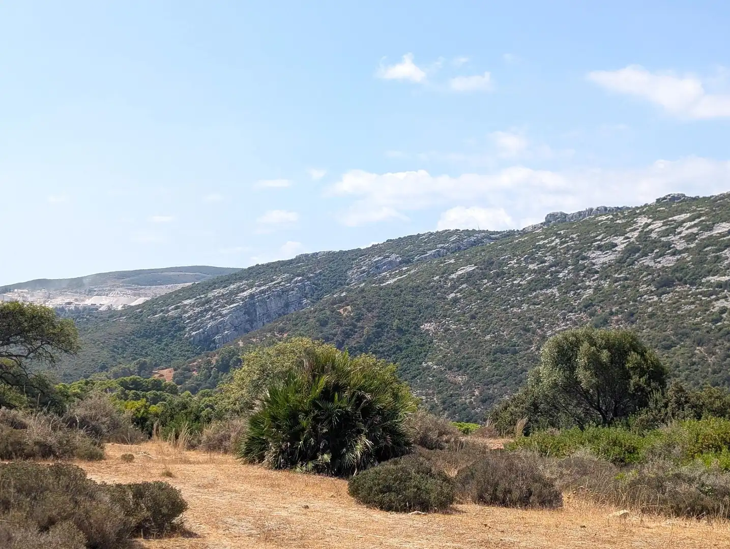 Terreno rustico in vendita a Casares 10, imagen 4