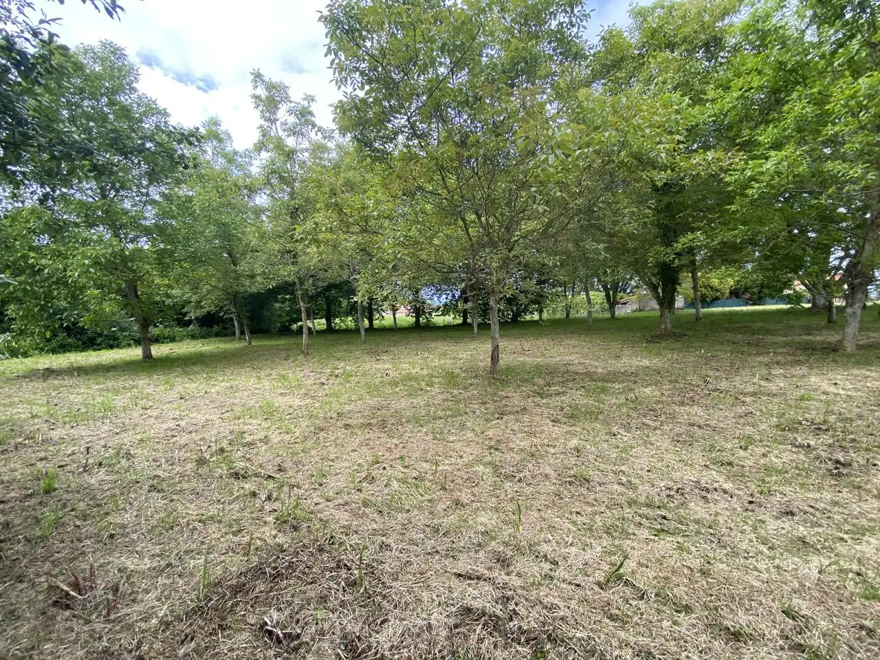 Casa amb jardí en venda a chan da aldea, imagen 18