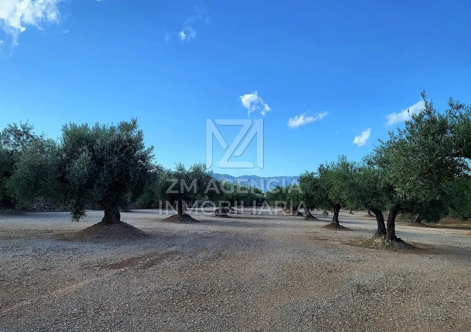 Country house for sale in Rossell, imagen 13