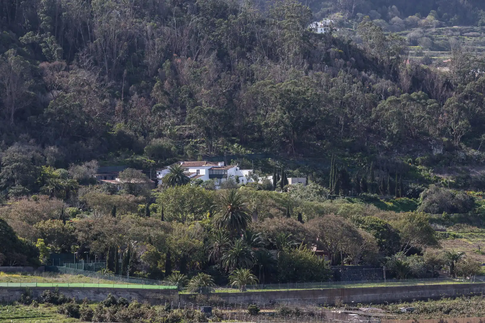 Vista exterior de Finca rústica en venta en Tegueste con Jardín privado, Terraza y Horno
