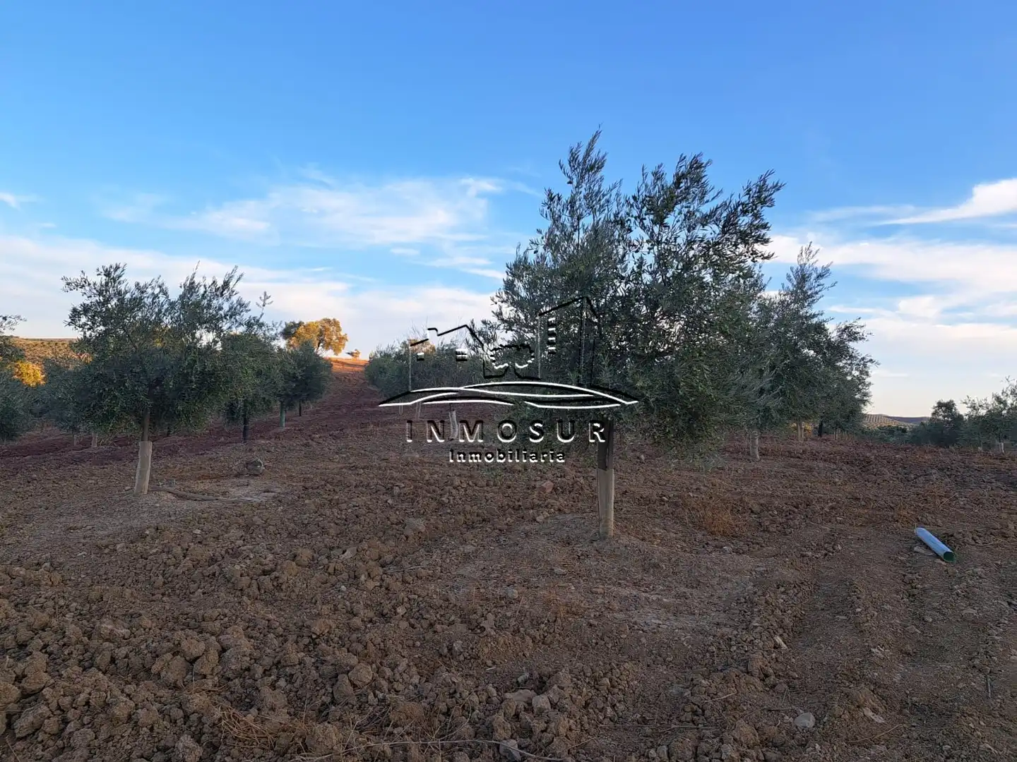 Terrain rustique à vendre à Las Vegas - Campoaras, imagen 10