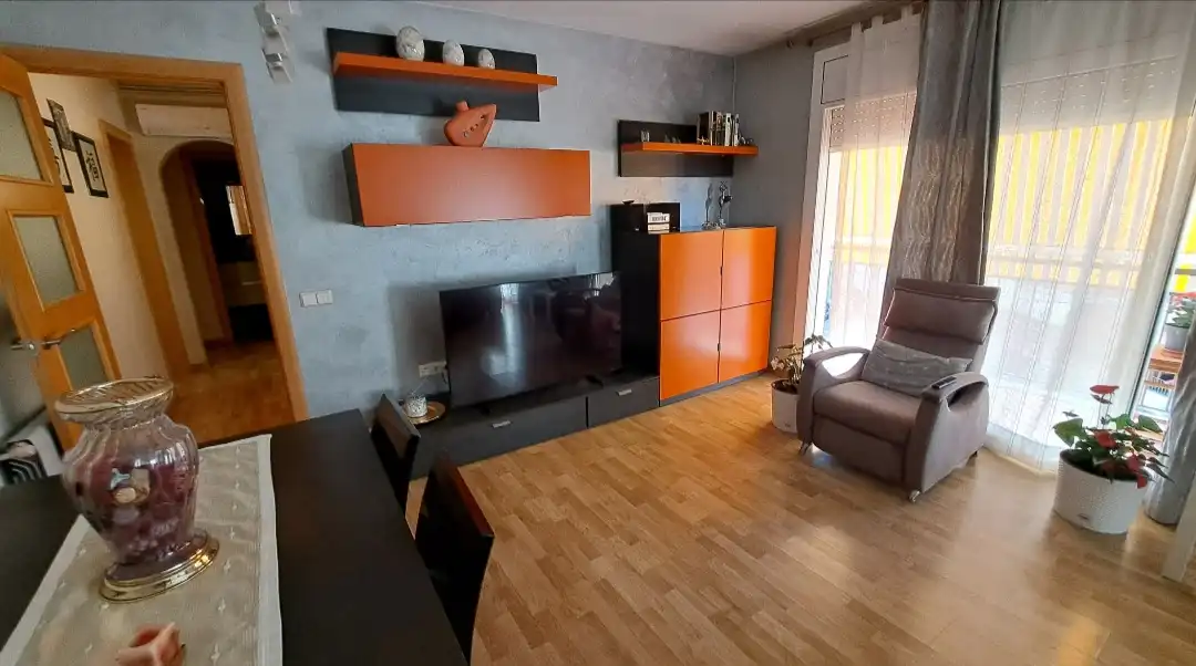 Sala d'estar de Pis de lloguer en Els Pins