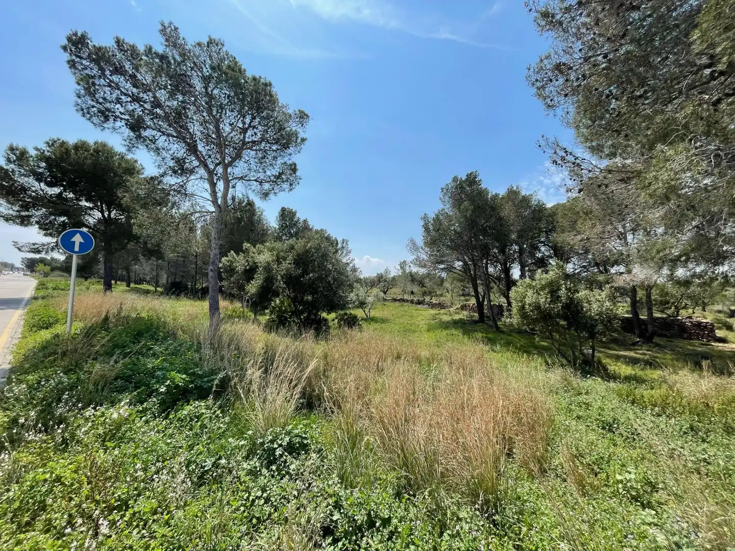 Terrenys i solars en venda a Poble