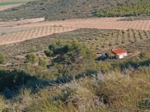 Terreno en Venta en Carretera de las Peñas, 21 en Alto de los Molinos