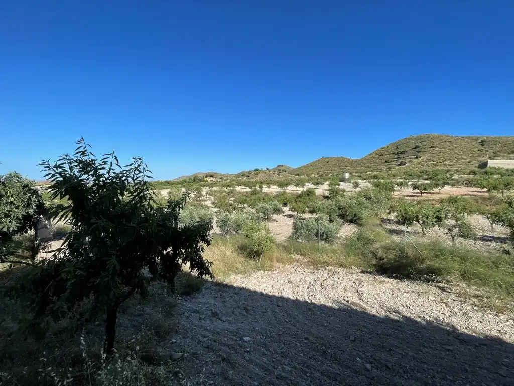 Finca rústica en venda en Pedanías Oeste