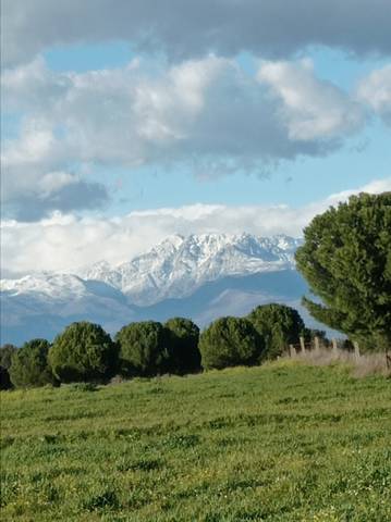 Terreno en Venta en Oropesa